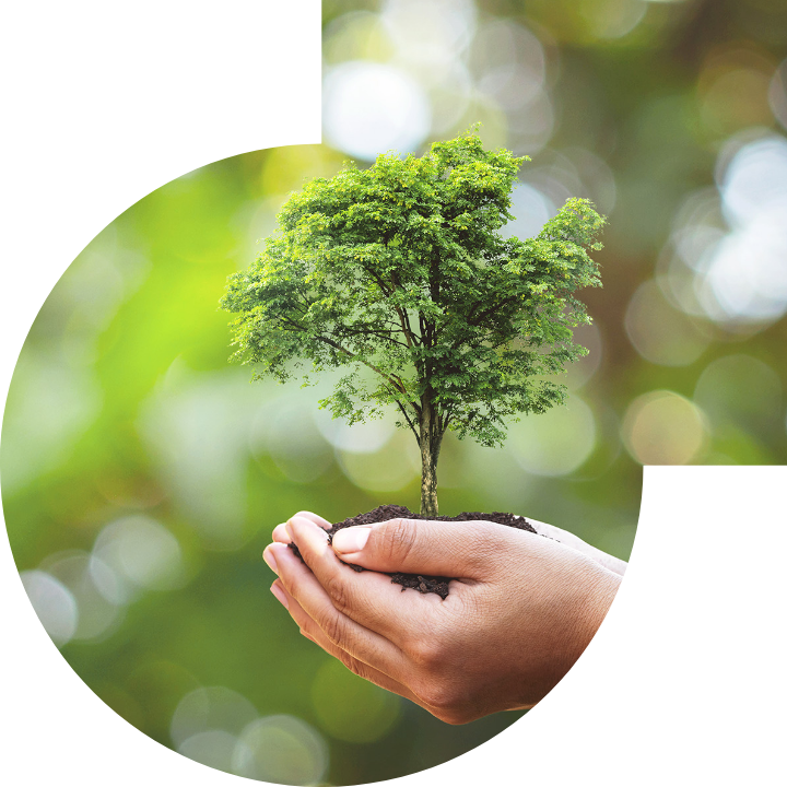 关怀人类、文化、环境与社会